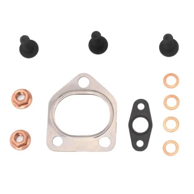 Billede af REINZ 04 10029 01 Montagesæt, lader BMW: 3 Touring, 5 Sedan