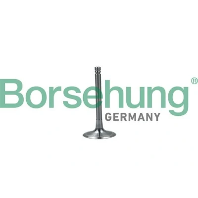 Billede af Borsehung B19028 Indsugningsventil AUDI: A4 B6 Avant, A6 C6 Sedan, B8 SKODA: Octavia 2 Combi, II Hatchback, VOLKSWAGEN: Touran I