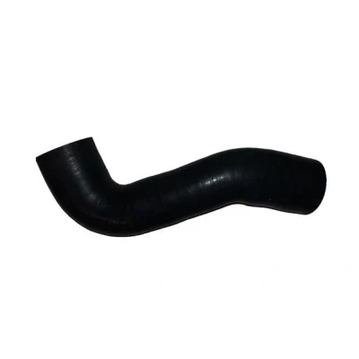 Billede af BUGIAD 88589 Trykslange VOLKSWAGEN: Polo V Hatchback, SKODA: Fabia 2