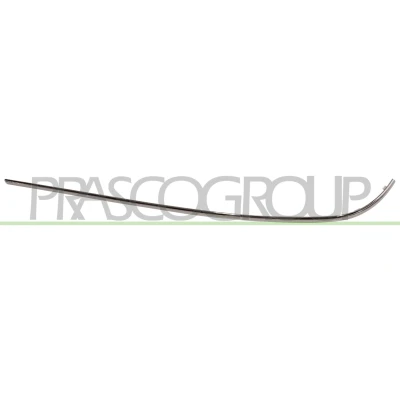 Billede af Pynte /beskyttelsesliste, kofanger PRASCO ME0271258