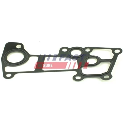 Billede af FAST FT49920 Pakninger