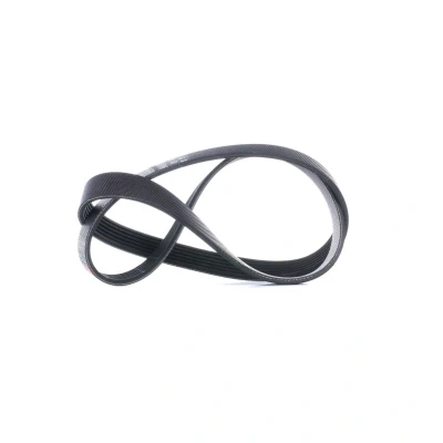 Billede af GATES 6PK1030SF Kileribberem 1030 6 PA (polyamid), EPDM (ethyl propylen dien gummi) FleetRunner PowerBand FORD: KA+ Hatchback, MONDEO 4 Turnier