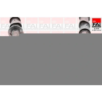 Billede af FAI AutoParts C351 Knastaksel RENAULT: MEGANE 3 Grandtour