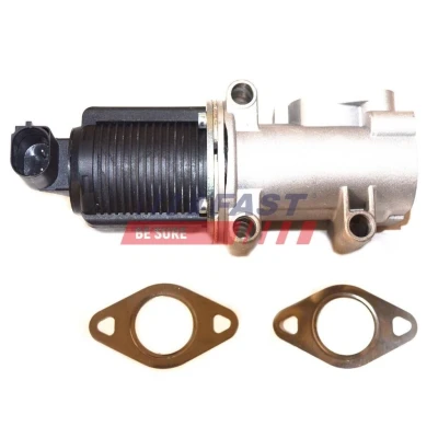 Billede af EGR ventil FAST FT60241