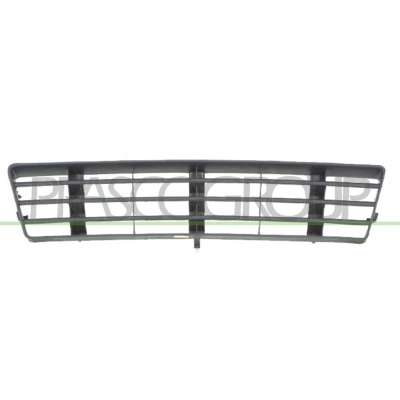 Billede af BLIC 6502 07 0014994P Kofangergitter foran, midten AUDI: A6 C5 Avant