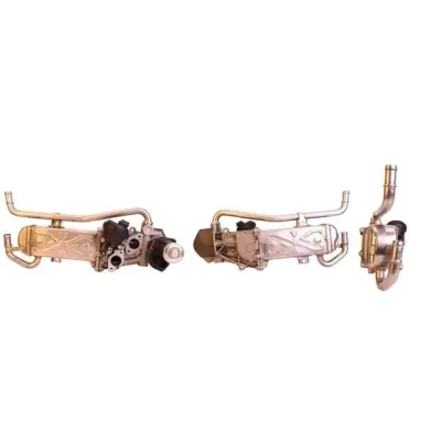 Billede af ELSTOCK 73 0138 EGR Modul med pakninger, køler VOLKSWAGEN: Polo V Hatchback, SEAT: Ibiza 4 ST, Toledo 4, SKODA: Fabia 2