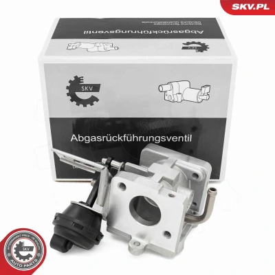 Billede af ESEN SKV 14SKV290 EGR Ventil AUDI: A4 B7 Avant, Q7