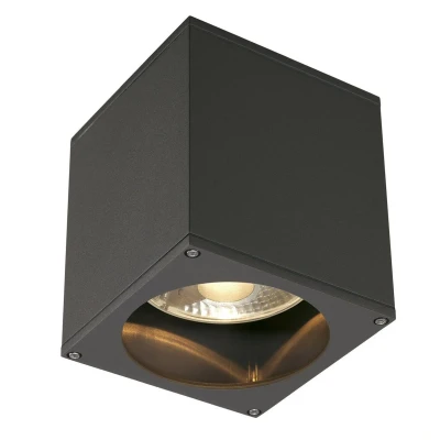 Billede af SLV Big Theo udendørs loftslampe, antracit