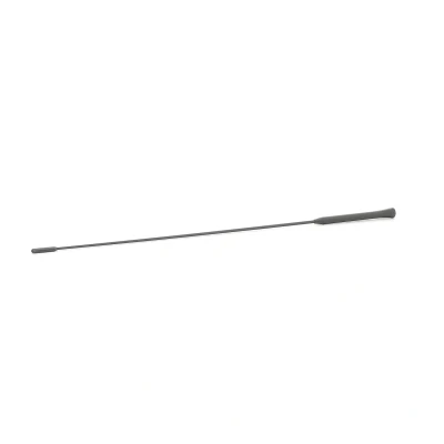 Billede af AIC 53911 Antenne FORD: C Max, MONDEO 4 Stufenheck, 3 Stufenheck