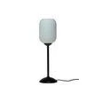 Billede af Riflet Table Lamp Opal