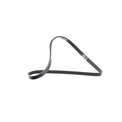Billede af DAYCO 3PK740 Kileribberem 740,0 3 RENAULT: CLIO 2, DACIA: SANDERO 2