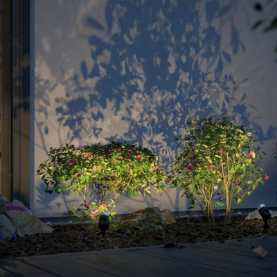 Billede af Paulmann Plug &amp; Shine spotlight Pike, ZigBee, RGBW