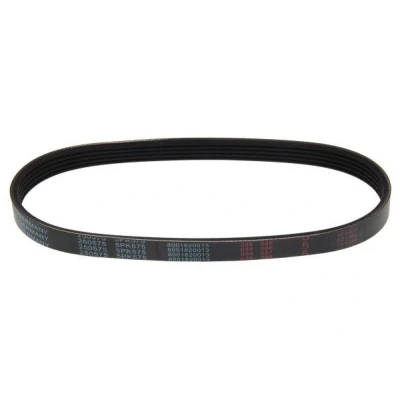 Billede af MAPCO 250575 Kileribberem 575 5 FORD: MONDEO 1, 1 Kombi