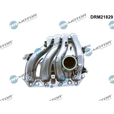 Billede af DR.MOTOR AUTOMOTIVE DRM21829 Indsugningsmanifold med pakninger SEAT: Ibiza 4 ST, VOLKSWAGEN: Polo V Hatchback, SKODA: Fabia 2