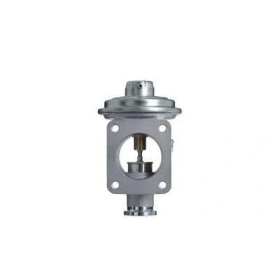 Billede af VALEO 703269 EGR ventil pneumatisk uden køler, med pakninger BMW: 3 Compact