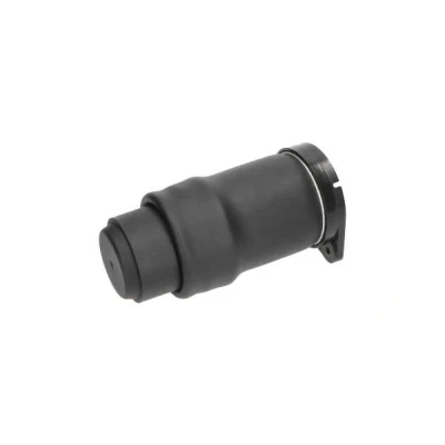 Billede af KAVO PARTS SAS 10021 Luftfjeder, undervogn bagaksel