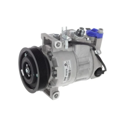 Billede af VALEO 813276 Kompressor 6SEU 12 PAG 46 R 134a med kompressorolie AUDI: A4 B8 Avant, Q5, A6 C7 Avant
