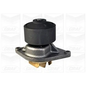 Billede af Vandpumpe GRAF PA1060