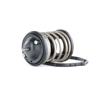 Billede af GATES TH47487G1 Termostat 87 med pakninger BMW: 1 Hatchback, 5 Sedan, Touring, MINI: Hatchback