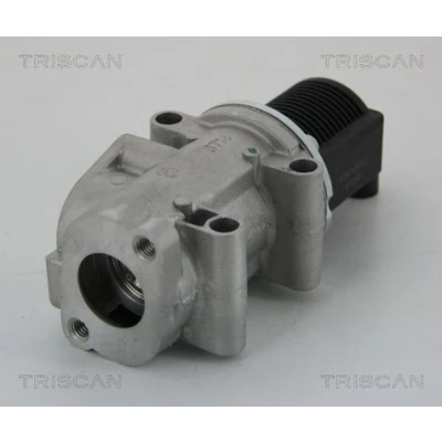 Billede af TRISCAN 8813 15032 EGR Ventil elektrisk uden pakninger
