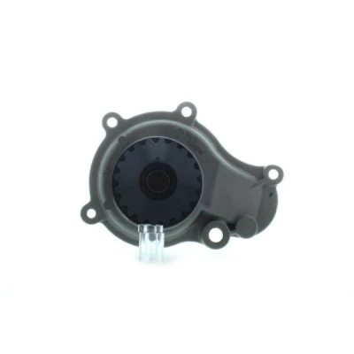 Billede af AISIN WPA 009 Vandpumpe CHRYSLER: Sebring II Cabriolet, VOYAGER / Grand 3, 4