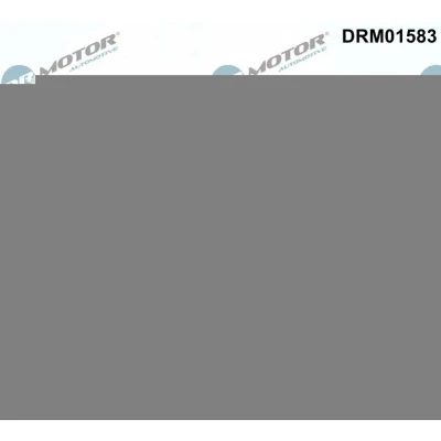 Billede af Knastaksel forstiller Dr.Motor Automotive DRM01583