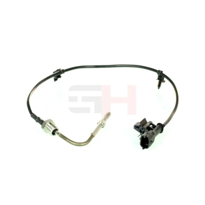 Billede af GH 743646 Sensoren OPEL: Corsa D Hatchback, Zafira B