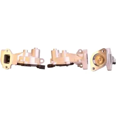 Billede af ELSTOCK 73 0152 EGR Ventil elektrisk med pakninger OPEL: Corsa D Hatchback, Astra J Sports Tourer, Hatchback