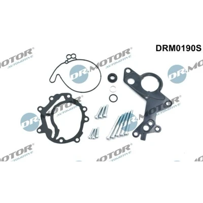 Billede af DR.MOTOR AUTOMOTIVE DRM0190S Reparationssæt til vakuumpumpe VOLKSWAGEN: Passat B6 Variant, Lupo / 3L, Touran I, SEAT: Leon II Hatchback, Altea XL