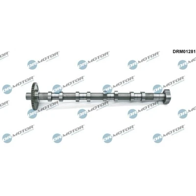Billede af DR.MOTOR AUTOMOTIVE DRM01281 Knastaksel AUDI: A4 B8 Avant, VOLKSWAGEN: Passat B6 Variant