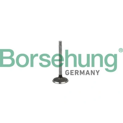 Billede af Borsehung B18998 Indsugningsventil SKODA: Octavia 2 Combi, Fabia I Hatchback, II VOLKSWAGEN: Touran I, Multivan 5 (7HM, Golf