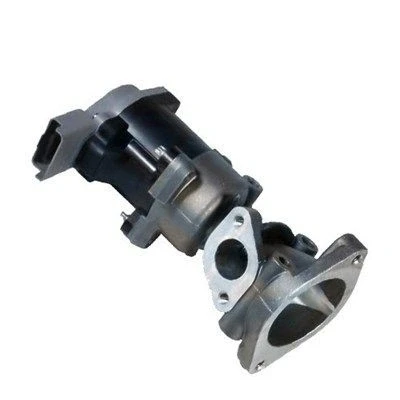 Billede af MAGNETI MARELLI 571822112034 EGR Ventil LAND ROVER: Discovery 3, Range Rover Sport