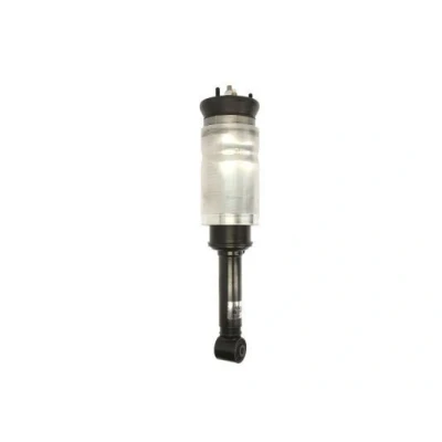 Billede af Magnum Technology APL009MT Luftfjederben foraksel LAND ROVER: Discovery 3, Range Rover Sport, 4