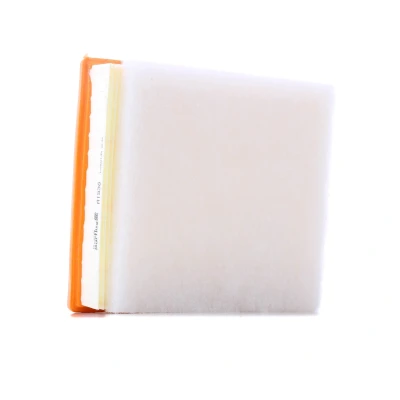 Billede af PURFLUX A1538 Luftfilter 65 206 228 Filterindsats BMW: 1 Hatchback, 3 Touring, 4 Gran Coupe