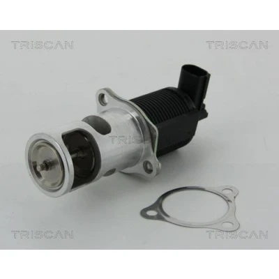 Billede af TRISCAN 8813 25038 EGR Ventil elektronisk med pakninger RENAULT: MEGANE 2 Kombi, CLIO 3, NISSAN: Almera II Hatchback
