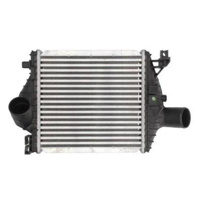 Billede af THERMOTEC DAM013TT Intercooler Aluminium, plastik 290 X 270 50 mm