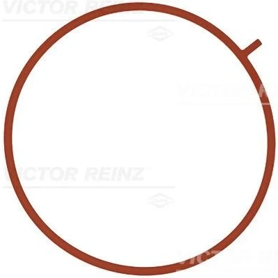 Billede af REINZ 71 10756 00 Indsugningspakning FPM (Flour gummi) MERCEDES BENZ: E klasse Sedan, T modell, C Sedan
