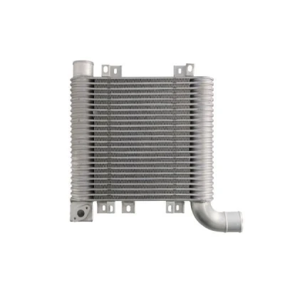 Billede af THERMOTEC DA05003TT Intercooler 355 x 310 65 mm
