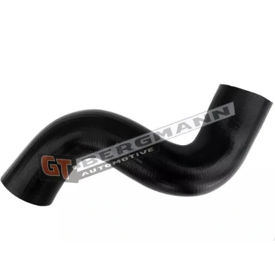 Billede af GT BERGMANN GT52 674 Trykslange PE (polyethylen) PEUGEOT: 307 SW, Stationcar