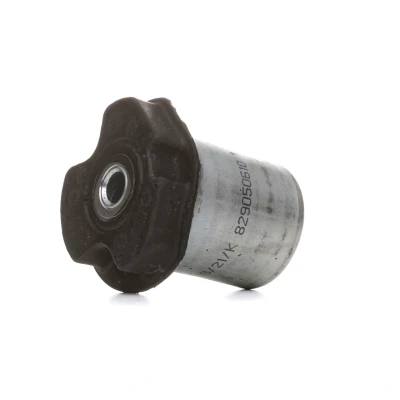 Billede af FAG 829 0506 10 Akselskaft Lejring RENAULT: CLIO 2