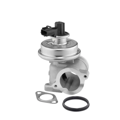 Billede af WAHLER 712064D EGR Ventil elektrisk pneumatisk