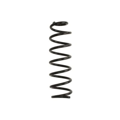 Billede af Magnum Technology SR160MT Fjeder bagaksel RENAULT: SCENIC 3