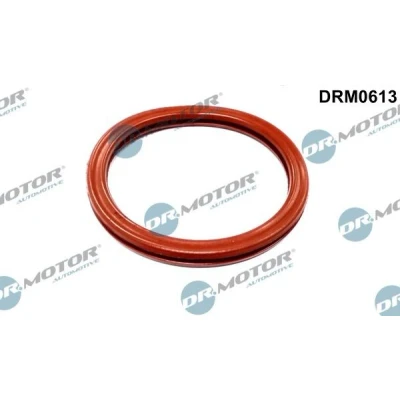 Billede af DR.MOTOR AUTOMOTIVE DRM0613 Indsugningspakning RENAULT: CLIO 2