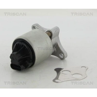 Billede af TRISCAN 8813 24004 EGR Ventil elektronisk med pakninger OPEL: Astra G CC, Sedan