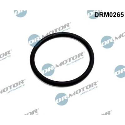 Billede af DR.MOTOR AUTOMOTIVE DRM0265 Pakningssæt, AGR system FORD: S Max Mk1