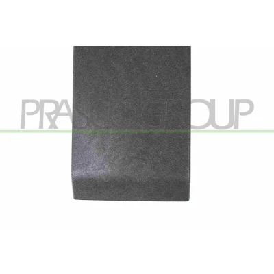 Billede af PRASCO RN9541415 Sidelister RENAULT: MASTER 3 Bus, Kasten