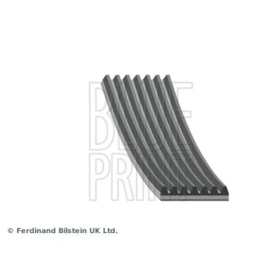 Billede af BLUE PRINT AD07R1675 Kileribberem 1675mm 7 EPDM (ethyl propylen dien gummi) NISSAN: Qashqai 2, X Trail, RENAULT: Kadjar, Megane 4, MASTER 3 Bus