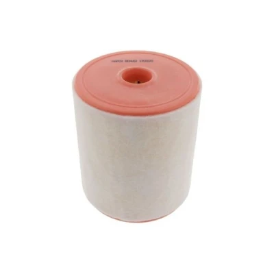 Billede af MAPCO 60442 Luftfilter 186,6 154 Filterindsats AUDI: A6 C7 Avant, Sedan, A7 Sportback
