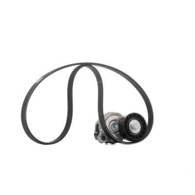 Billede af SKF VKMA 36244 Kileribberem VOLVO: V70 3, III Van / Stationcar, XC70 II Stationcar