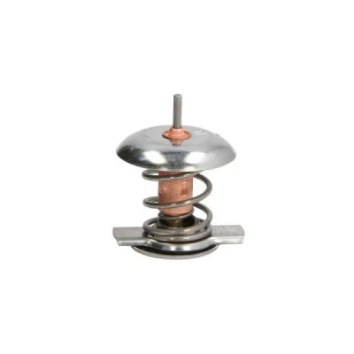 Billede af THERMOTEC D2Y002TT Termostat 87 med pakning hus MERCEDES BENZ: E klasse Sedan, T modell, Sprinter 3 Ladvogn/Chassis